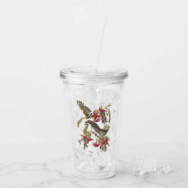 Audubon's Grey Tyrant Bird with Pink Flowers Acrylic Tumbler (Back Ice)