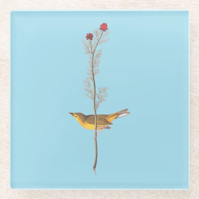 Audubon's Hooded Warbler Bird on Red Flower Glass Coaster (Front)