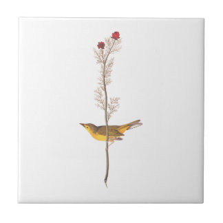 Audubon's Hooded Warbler Bird on Red Flower Tile