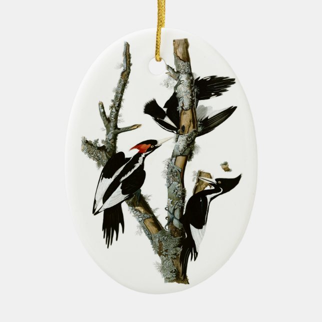 Audubon's Ivory-billed Woodpecker Ceramic Ornament (Front)