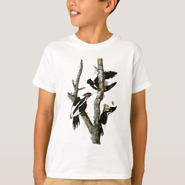 Audubon's Ivory-billed Woodpecker T-Shirt (Front)