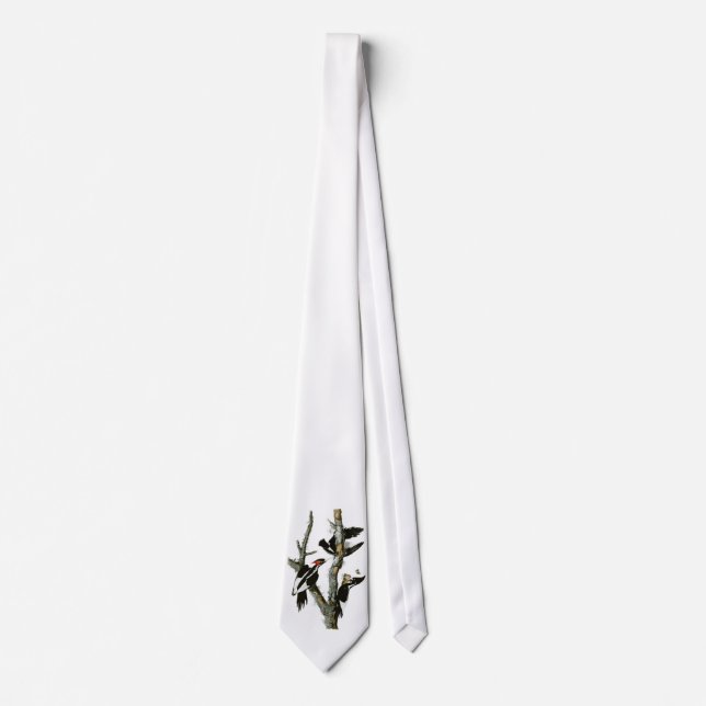 Audubon's Ivory-billed Woodpecker Tie (Front)
