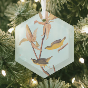 Audubon's Kentucky Warbler Bird Pair with a Spider Glass Ornament
