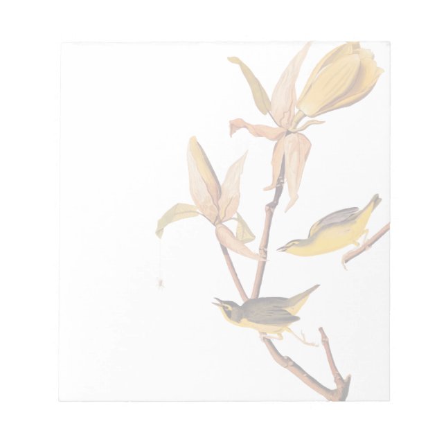 Audubon's Kentucky Warbler Bird Pair with a Spider Notepad (Front)