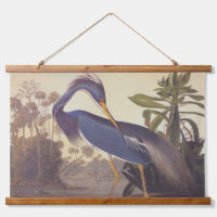 Audubon's Louisiana Heron or Tricolored Heron
