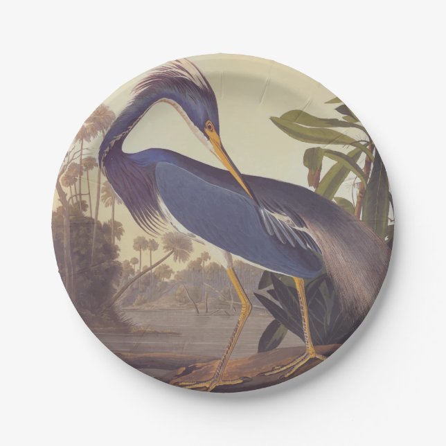 Audubon's Louisiana Heron or Tricolored Heron Paper Plate (Front)