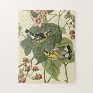 Audubon's Magnolia Warbler Jigsaw Puzzle