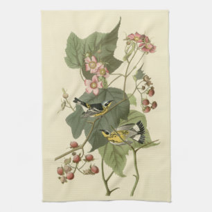 Audubon's Magnolia Warbler Kitchen Towel