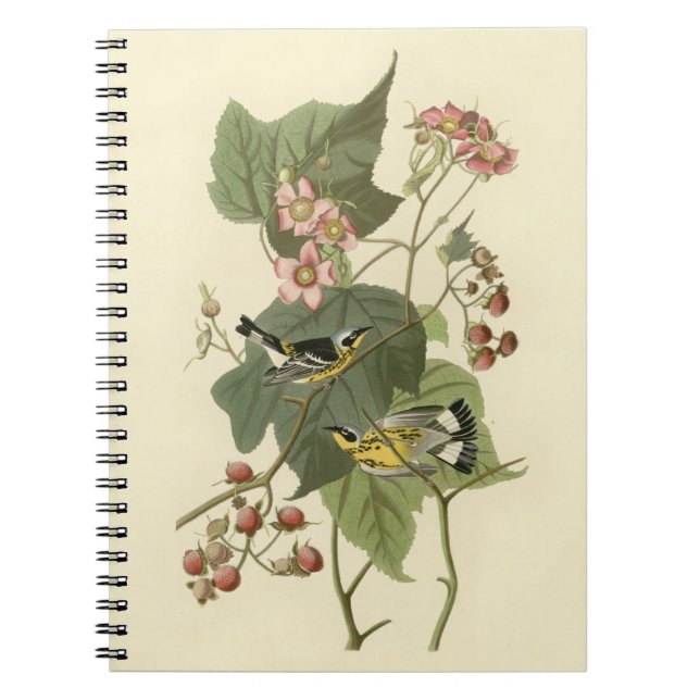 Audubon's Magnolia Warbler Notebook (Front)