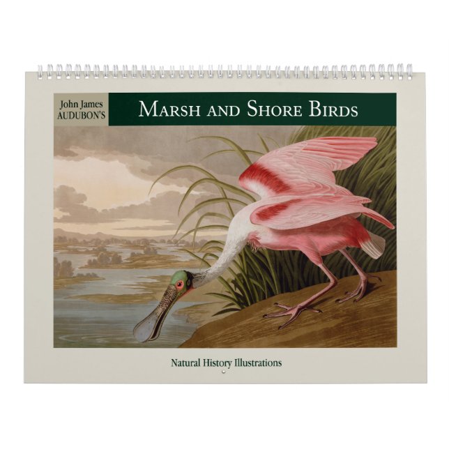 Audubon's Marsh and Shore Birds 2026 Calendar (Cover)