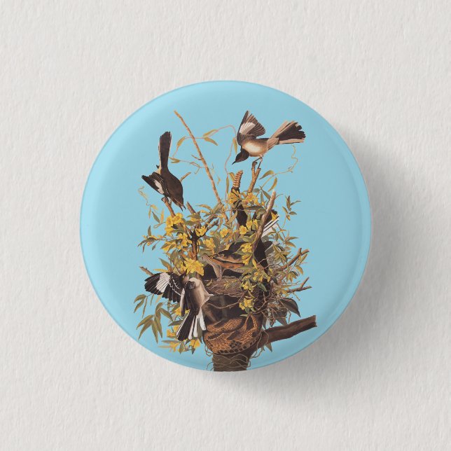 Audubon's Mockingbirds vs Rattlesnake 1 Inch Round Button (Front)