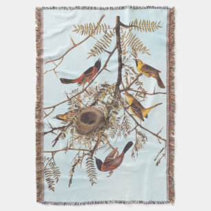 Audubon's Orchard Oriole Birds in a Honey Locust Throw Blanket