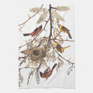 Audubon's Orchard Oriole Birds Nesting in Tree Kitchen Towel