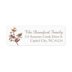 Audubon's Painted Bunting Famille de cinq oiseaux