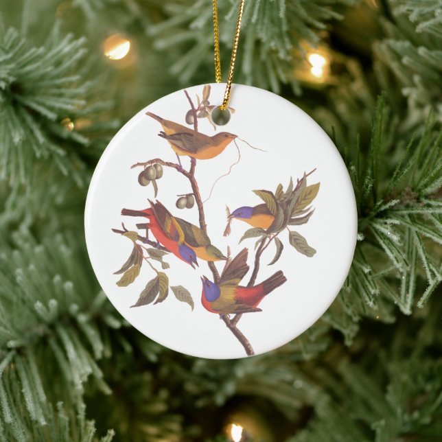 Audubon's Painted Bunting Family of Five Birds Ceramic Ornament (Tree)