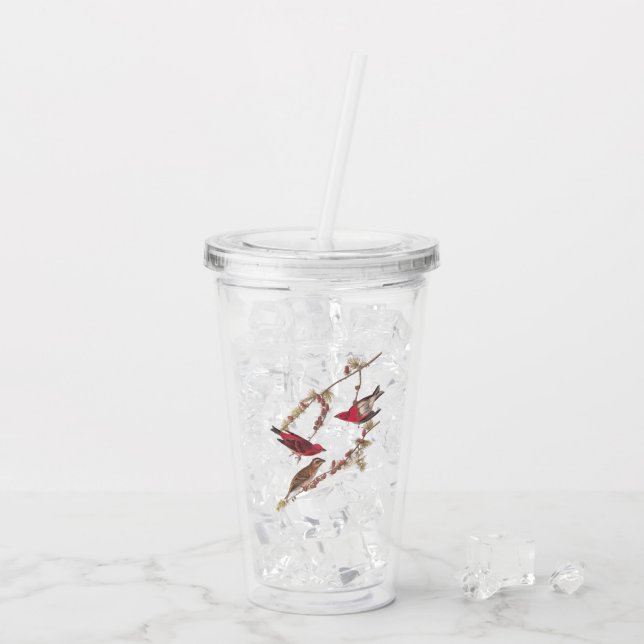 Audubon's Purple Finch Red Birds on Conifer Tree  Acrylic Tumbler (Back Ice)