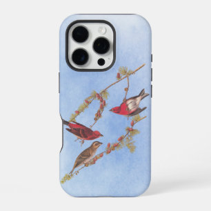 Audubon's Purple Finch Red Birds Vintage Art iPhone 16 Pro Case