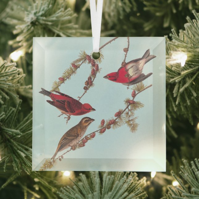 Audubon's Purple Finch Three Red Birds in Winter Glass Ornament (Insitu)