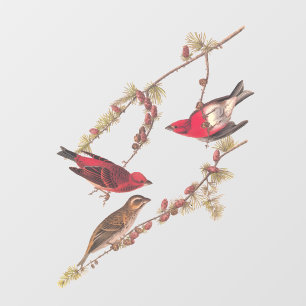 Audubon's Purple Finch Three Red Birds in Winter Window Cling