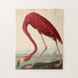 Audubon's Red Flamant rose Jigsaw Puzzle Puzzle