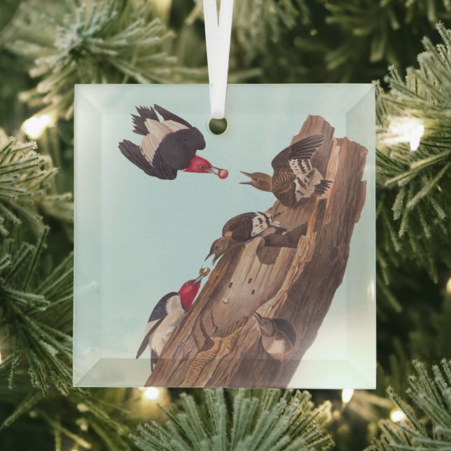 Audubon's Red-Headed Woodpecker Family in Log Glass Ornament (Insitu)