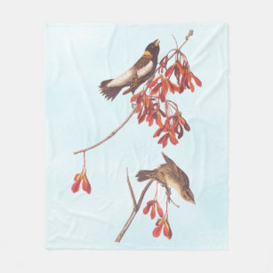 Audubon's Rice Bunting Birds or Bobolink Birds Fleece Blanket