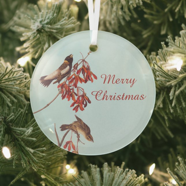 Audubon's Rice Bunting Birds or Bobolink Birds Glass Ornament (Insitu)