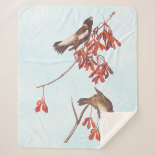 Audubon's Rice Bunting Birds or Bobolink Birds Sherpa Blanket