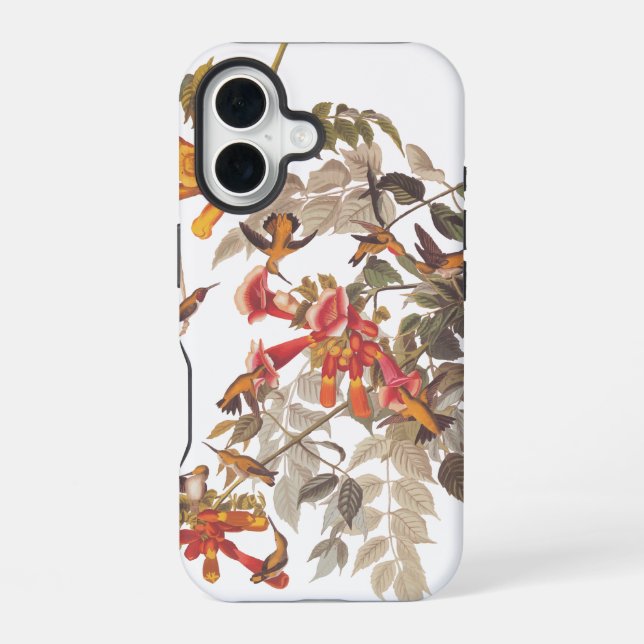 Audubon's Ruby Throated Hummingbirds and Flowers iPhone 16 Case (Back)
