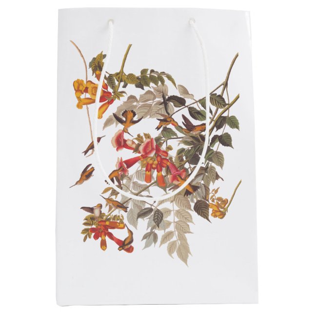Audubon's Ruby Throated Hummingbirds and Flowers Medium Gift Bag (Front)