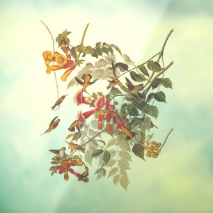 Audubon's Ruby Throated Hummingbirds and Flowers Window Cling