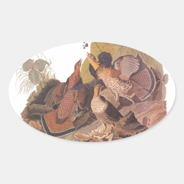 Audubon's Ruffed Grouse Oval Sticker (Front)