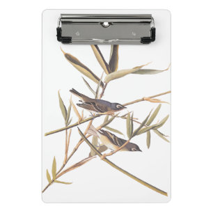 Audubon's Solitary Vireo Flycatcher Birds on Cane Mini Clipboard