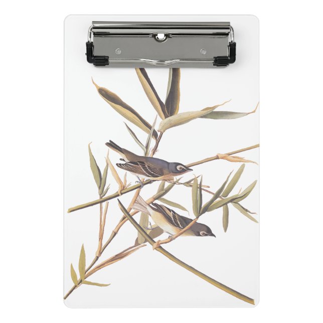 Audubon's Solitary Vireo Flycatcher Birds on Cane Mini Clipboard (Front)
