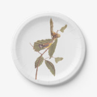 Audubon's Swainson's Warbler on Oak Branch
