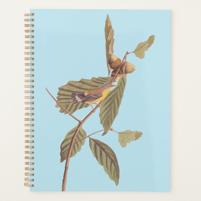 Audubon's Swainson's Warbler on Oak Branch Planner (Front)