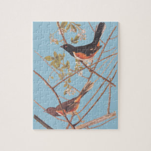 Audubon's Towee Bunting Jigsaw Puzzle
