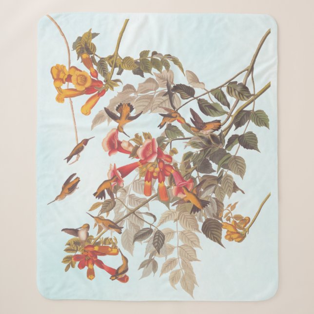 Audubon's Tropical Ruby Throated Hummingbirds Sherpa Blanket (Front)