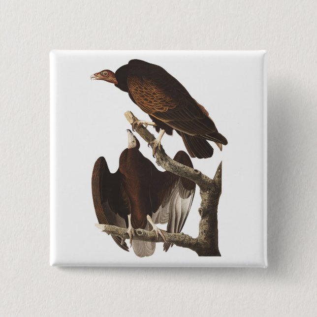 Audubon's Turkey Vulture 2 Inch Square Button (Front)