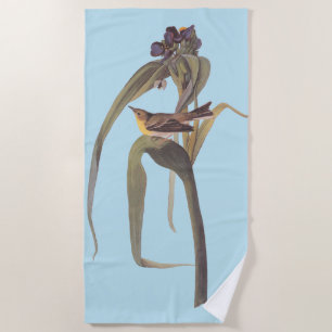 Audubon's Vigour's Vireo Songbird  Beach Towel