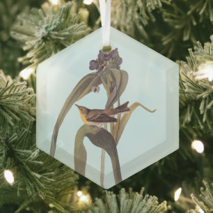 Audubon's Vigour's Vireo Songbird Glass Ornament