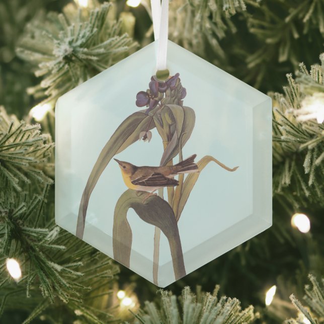 Audubon's Vigour's Vireo Songbird Glass Ornament (Insitu)