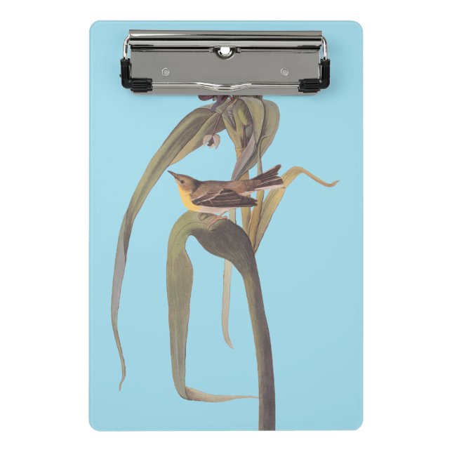 Audubon's Vigour's Vireo Songbird Mini Clipboard (Front)