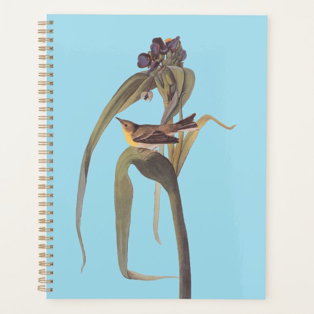 Audubon's Vigour's Vireo Songbird Planner (Front)