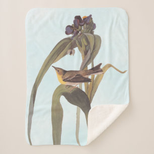 Audubon's Vigour's Vireo Songbird Sherpa Blanket
