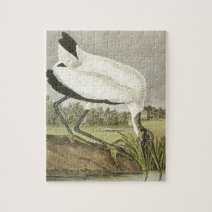 Audubons' Wood Stork Jigsaw Puzzle