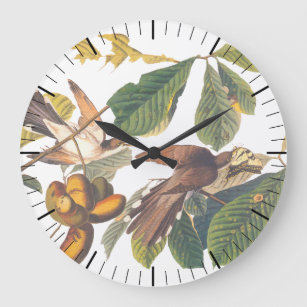 Audubon's Yellow-Billed Cuckoo Birds in Fruit Tree Large Clock