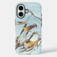 Audubon's Yellow Prothonotary Warbler Bird Pair