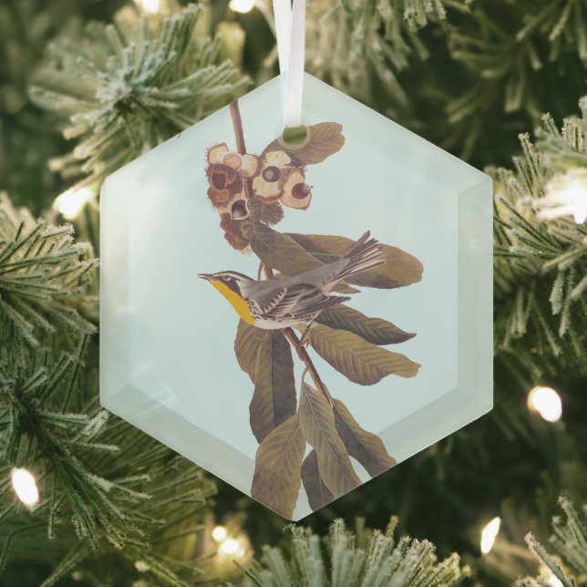 Audubon's Yellow Throated Warbler on Chestnut Glass Ornament (Insitu)