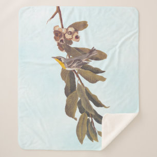 Audubon's Yellow Throated Warbler on Chestnut Sherpa Blanket